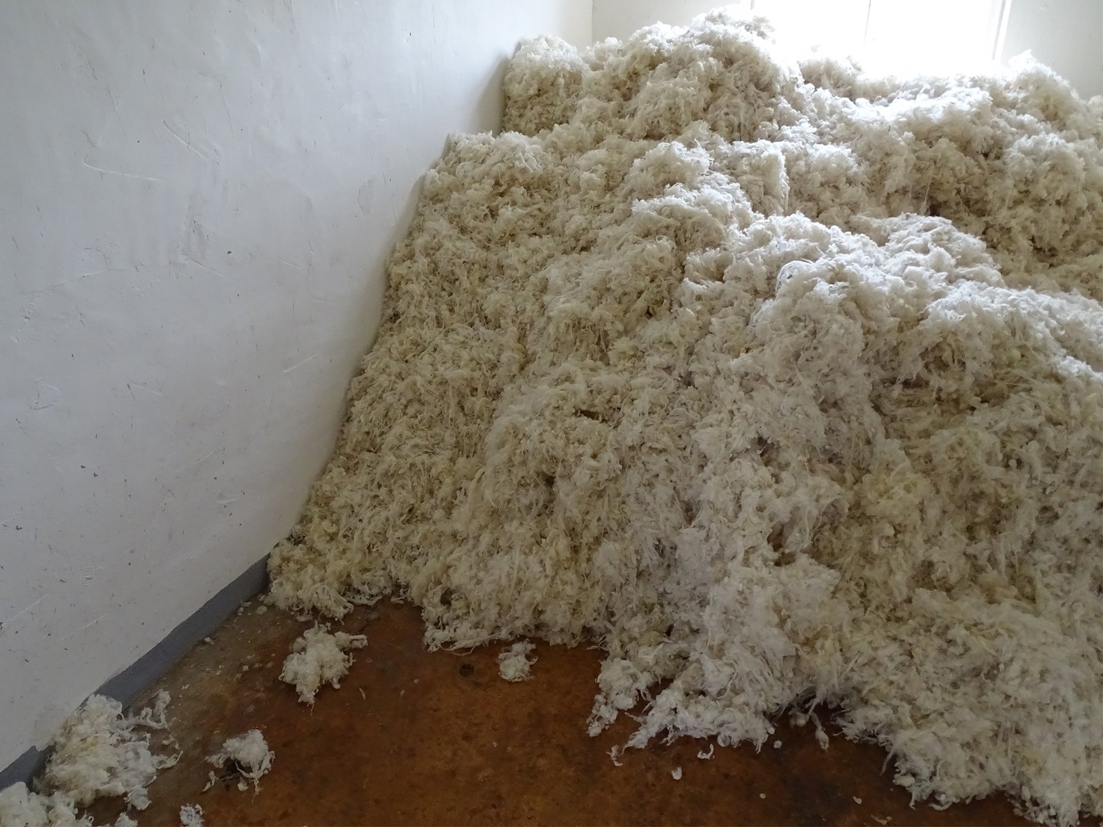 Raw Wool Inspection